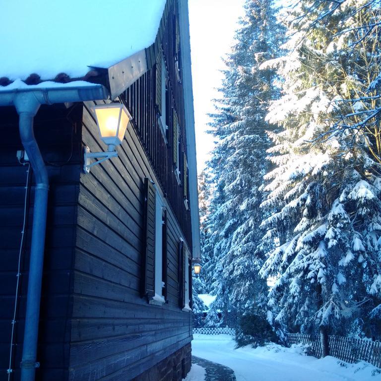 Отель The Cabin - Harz National Park Санкт-Андреасберг Экстерьер фото